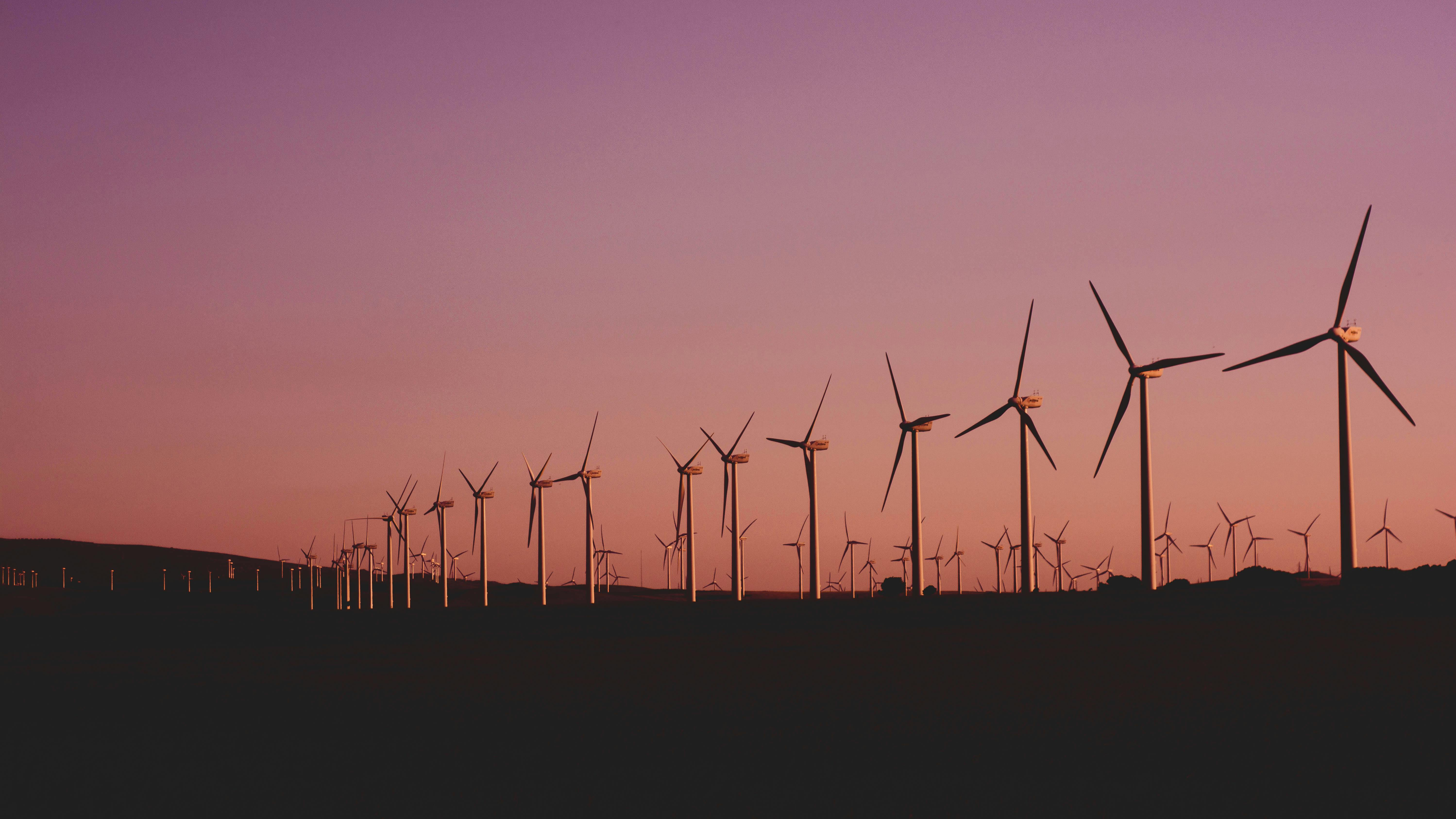 Energy Services Case Study