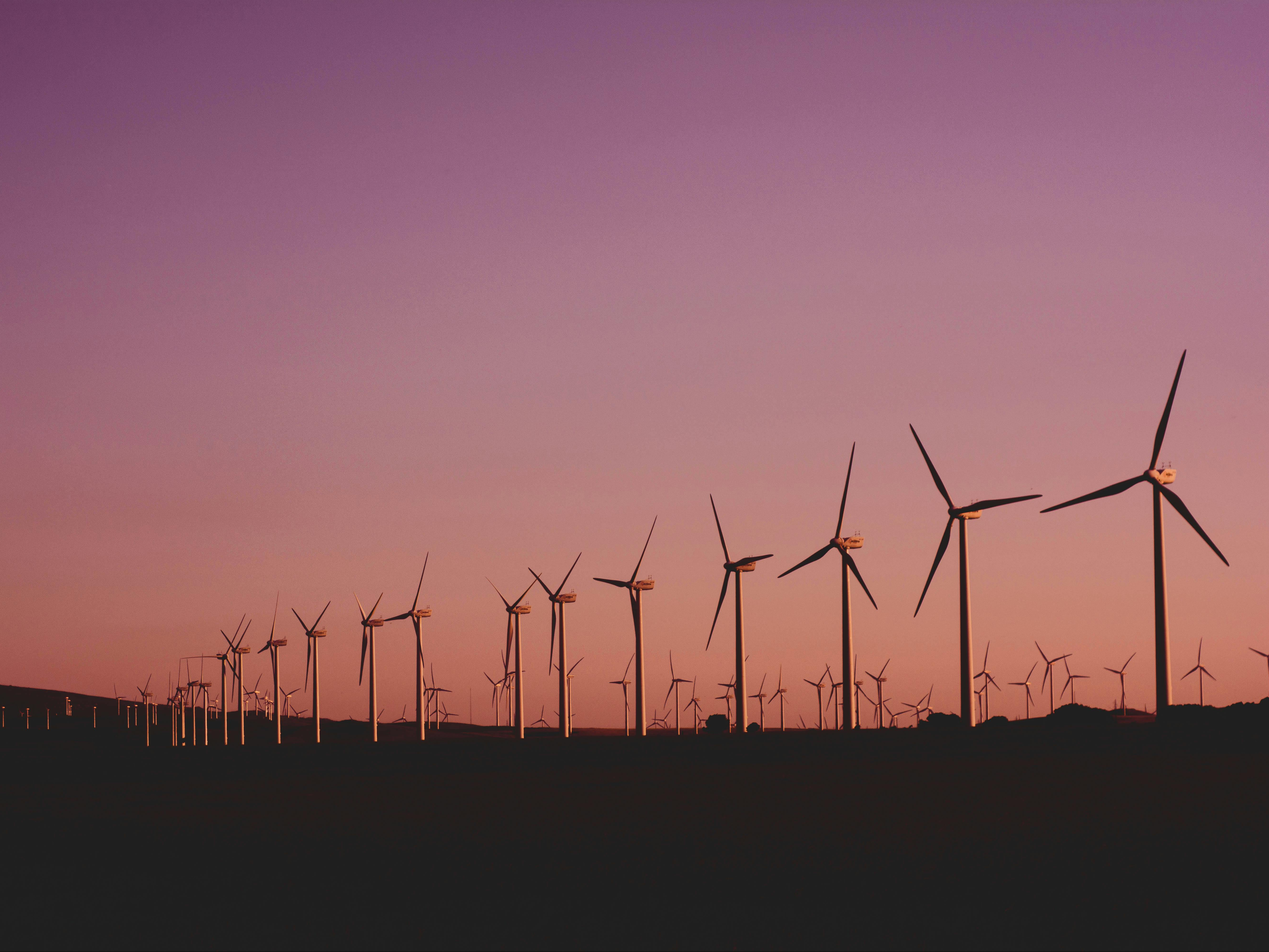 Energy Services Case Study